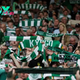 Image: Celtic Look Set to Improve Matchday Experience