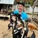 The kind man rescued stray dogs and decided to raise them all in Thailand and was very happy about it.