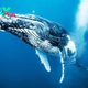 The Majestic World of Whales: A Fascinating Dive into Their Lives H13