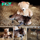 Endearing Bond: Orphaned Foal Breeze Continues to Sleep with His Teddy Buttons Three Years After Mother’s Abandonment