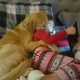 nht.Rudy, un perro adoptado de un refugio después de 200 días, sorprendió a la comunidad en línea al acurrucarse cada noche con una niña de 5 años mientras veían películas en el teléfono con su nuevo dueño.