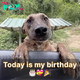 Still Waiting for Birthday Wishes: My Special Day Needs Your Love!.hanh