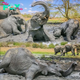 A muddy good time! Adorable photographs show playful baby elephants cooling off in the African heat