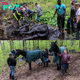 Horses Trapped in ‘Waist-Deep’ Connecticut Mud Saved by Nearly 40 First Responders After 5-Hour Rescue Mission