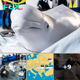 2 Beluga Whales Moved from Ukraine to Spain in ‘High-Risk, Complex’ Rescue Operation amid War