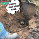 ɩoѕt Dog Rescued from Underground Burrow After Five Days.sena
