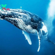 The Majestic Giants of the Ocean: Whales and Their Remarkable Lives H14