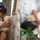 A touching story unfolds when a boy abandoned by his parents finds love and comfort in the devoted arms of a loyal dog even though both have to sleep on the side of the road.