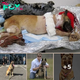 Soldier adopts Badly Injured Military Dog that Saved his Life!
