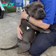 nht.”After 660 days in the shelter, the Bull dog finally found solace and drifted off to sleep in the arms of his new owner. This touching moment moved many viewers and sparked a lot of excitement on social media.”