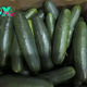Florida Woman Sues Companies Over Cucumbers Linked to Salmonella Outbreak