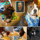 Meet ‘Van Gogh,’ The One-Eared Dog Who Paints Masterpieces With His Tongue