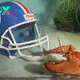 Meet Crush, the Rare Orange Lobster Diverted From a Dinner Plate by Denver Broncos Fans