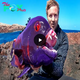 Strange colored fish found in nature by chance, with many colors and strange shapes (Video)