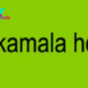 The Kamala Harris Campaign Is Embracing the Memes