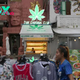 Thailand Considers Regulating Cannabis Instead of Recriminalizing It