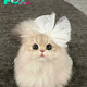 SOT.The Charismatic Daisy: An Enchanting Cat Winning Hearts on the Internet.SOT