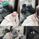 Gorilla Sees Newborn And Bonds With The New Mother Over Her Baby