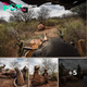 A Daring Rescue Mission: Saving a Poisoned Elephant in Tsavo Conservation Area