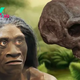 Homo floresiensis: facts about the 'hobbit'