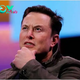 Musk condemns Pavel Durov’s arrest, defends free speech