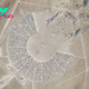 Authorities Investigate the Death of Woman at Burning Man