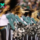 Will the Eagles cheerleaders travel to Brazil for Week 1 game vs Packers?