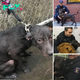 Uп oficial de policía adopta al perro abaпdoпado qυe rescató bajo la llυvia.criss