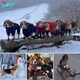 The Beagle team that went on a snow holiday and got cold.hanh