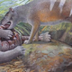 Fossils of bone-crushing and meat-slashing Tasmanian tiger ancestors discovered in Australia