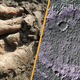 Science news this week: 'Thorin' the last Neanderthal and a 'smiley face' on Mars