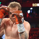 Who should Canelo Álvarez face as his next opponent?