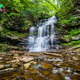 8 Fun Things to Do in Ricketts Glen State Park