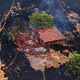 Record-breaking fires engulf South America, bringing black rain, green rivers and toxic air to the continent