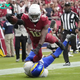 Detroit Lions at Arizona Cardinals odds, picks and predictions