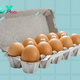 5 Ways to Tell if an Egg is Fresh or Rotten