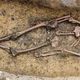 50 Viking Age burials discovered in Denmark, including a woman in a rare 'Viking wagon'