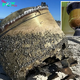 A Mysterious Box Washed Up on Shore—What Was Inside Left Everyone Speechless!