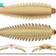 Never-before-seen head of prehistoric, car-size 'millipede' solves evolutionary mystery