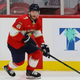 Florida Panthers at Ottawa Senators odds, picks and predictions