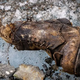 British explorer Sandy Irvine's foot discovered 100 years after he vanished on Everest