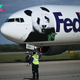 Pandas Arrive in the U.S. Next Stop Is the National Zoo