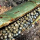 A farmer comes across military equipment hidden on his land. When he finds out who owns it, he is completely astonished