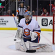 NY Islanders vs Florida Panthers Prediction 10-26-24 Picks