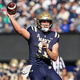 Rice vs Navy Prediction 11-2-24 College Football Picks