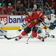 San Jose Sharks vs Chicago Blackhawks Prediction 10-31-24 NHL Picks