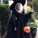 MY MIL DRESSED AS A WITCH FOR HALLOWEEN — AND NOW MY KID IS TR.AUMATlZE.D!