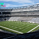 Does MetLife Stadium have turf or grass?