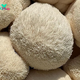 Did You Know About the Brain-Boosting Benefits of Lion’s Mane Mushroom?