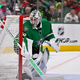 Florida Panthers vs. Dallas Stars odds, picks and predictions